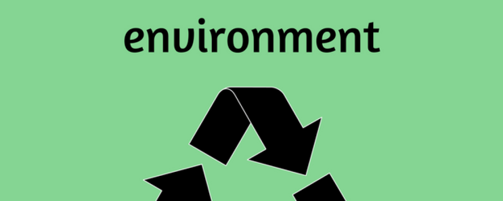 Why Buying Local Can Help Save The Environment