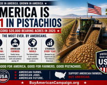 America Just Quietly Became the World’s Pistachio Superpower — And Most People Have No Idea